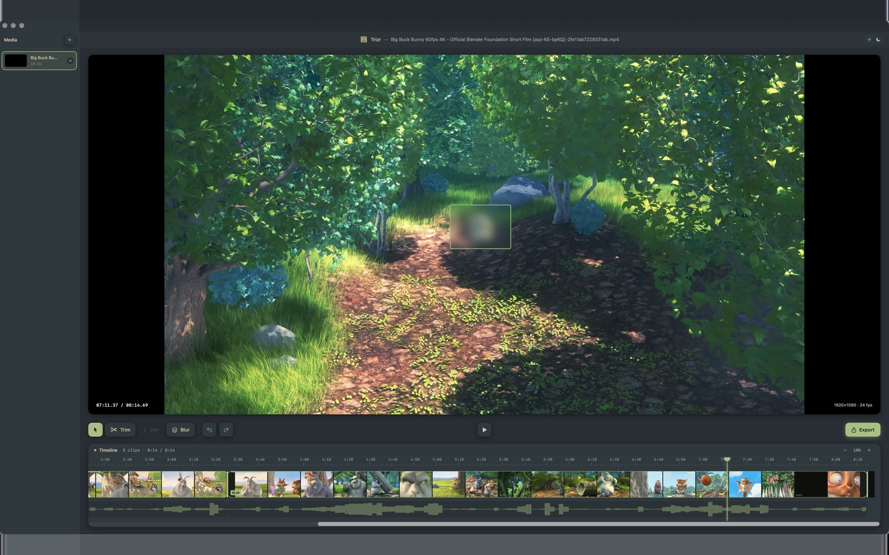 A blur region placed over part of the video frame in Trizr.